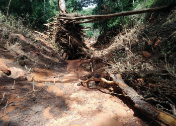 Enel anuncia ações contra o impacto do desastre ambiental em São Gonçalo do Gurgueia